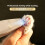 Full Animal Grooming Package Operates On interlaced And-Lvse 6