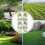 Fruit Tree Insect Net Cover Protective Plant From Birds-M 8