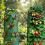 Sac de jardinage vertical parfait pour cultiver des-Vert 8