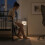 SoBuy Κομοδίνο Λευκό 35x20x60 εκ. 2 Συρτάρια LED Πρίζα 8