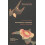 Impossible Paradise by Yuhong Chen Paperback Book 1