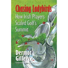 Chasing Ladybirds by Dermot Gilleece Paperback Book