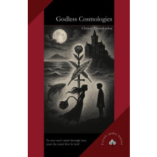 Godless Cosmologies by Christy Theodoulou Paperback Book