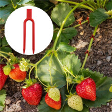 200 Pièces Épingles de Plante, Épingles de Support en Plastique pour Fraises pour Plantes D'Intérieur, Clips de Plante en U Réutilisables