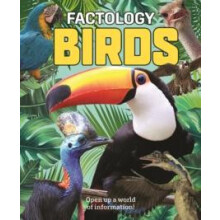 Factology Birds Hardcover Book