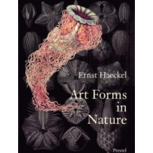 Art Forms in Nature Paperback Book