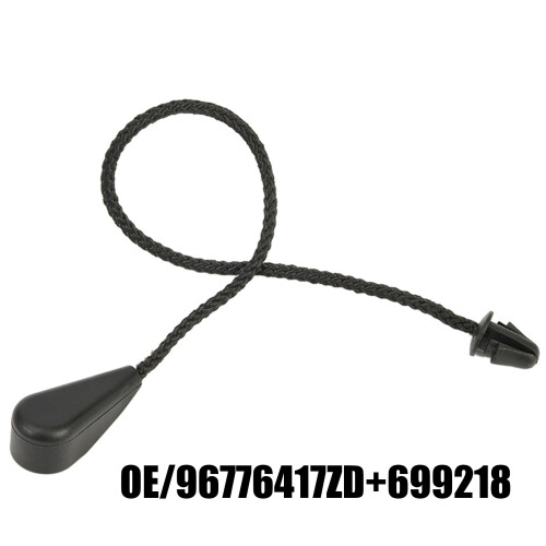 Trunk Storage Bag Tray Tie Strap 96776417ZD 699218 for 2