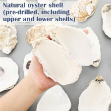 12 Set Beach Oyster Shells for Crafts 4-5 Inch Large Seashells with Holes for Crafting Summer Flat Oyster Shell Kits