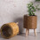 Practical Plastic Flower Stand Holder Removable-515A yellow 8