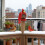 Durability Bird Feeders Open Hanger Huts Shape Hangable Mounted 6