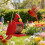 Durability Bird Feeders Open Hanger Huts Shape Hangable Mounted 8