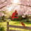 Durability Bird Feeders Open Hanger Huts Shape Hangable Mounted 4