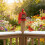 Durability Bird Feeders Open Hanger Huts Shape Hangable Mounted 5