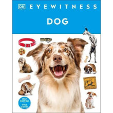 Eyewitness Dog by DK Hardcover Book