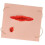 Trauma Model Wound Simulation Skin Module ForTraining, Realistic Operative Trauma 3