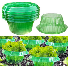 Schneckenschutz-Kragenringe 6 Stück Ø 24 cm zum Schutz von Pflanzen Grün — schneckenhalsband, pflanzenschutz-vlies, gartenvlies kragen