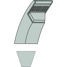 Cinghia trapezoidale 656A1250 HA 1250 AGTECH