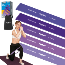 Lot de 5 élastiques pour l'entraînement physique, bande de fitness de rééducation Rebel