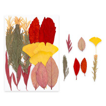 Natürliches DIY-Blumenkonservierungsset, Heimdekoration,-C