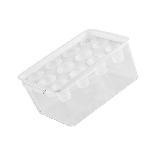 Boîte hydroponique transparente avec dessus pour la-Blanc