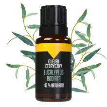 Eukaliptusz radiata illóolaj - 10 ml