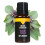 Tulsi æterisk olie - 10 ml 1