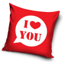 FEDERA PER CUSCINO 40x40 San Valentino TI AMO W07A