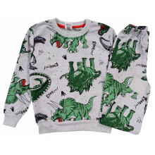 Set pigiama a maniche lunghe con dinosauri, grigio, taglia 4/5 J20P