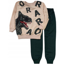 Tuta sportiva da bambino con dinosauri, felpa e pantaloni, verde, taglia 4/5 J621B