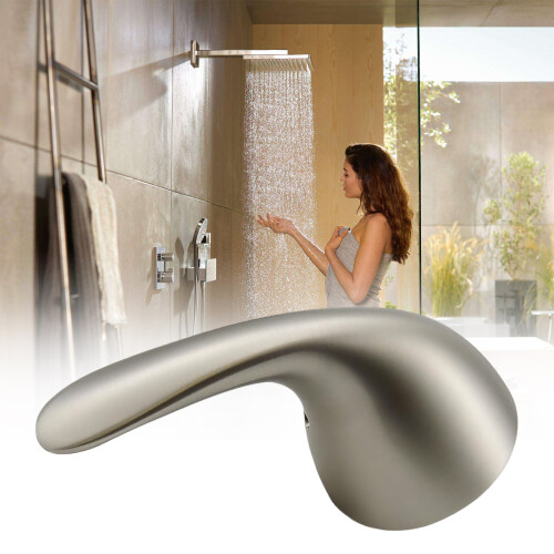 Direct Replacement Handle Ergonomic Designs with Mirror 1