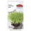Microfoglie di rame 3g - Torseed 1