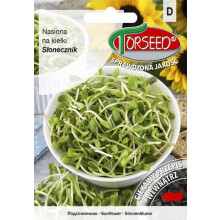 Semi di girasole da giardino per germogliare 100 g - Torseed