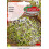 Rucola, Keimsamen 5g - Torseed 1