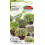 Graines de radis (rose de Chine) - micro-graines 5 g - Torseed 1