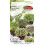 Mizuna-Samenmischung – Samen für Microgreens – Torseed 1