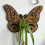 Support de plante en bois élégant avec des conceptions-ms9538 6
