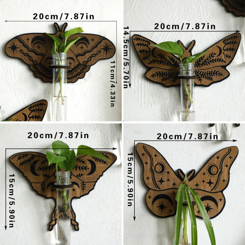 Support de plante en bois élégant avec des conceptions-ms9538 2