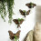 Support de plante en bois élégant avec des conceptions-ms9538 7