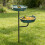 Unique Backyard Bird Water Dish Featuring Food Space For-Green 9