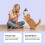 Active Catnips Sprays Liquid Sprays Refresher Organic Catnips 11