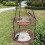 Durable Plastic Suspended Bird Bath Bowl In Assorted-Pink 7
