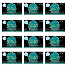 Evolution Aqua Pure Pond Sludge Bomb Beneficial Bacteria 12 Pack
