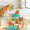 Cats Feeder Teasing Toy Training with Kibble Dispenser 8
