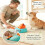 Cats Feeder Teasing Toy Training with Kibble Dispenser 9