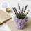 Silicone Flower Mould For Handmade Candle And Creative Crafting 5