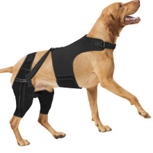 Back Leg Support Stabilizer For Improved Mobilities Balanced-XS