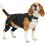Back Leg Stabilizer For Ligament Injuries With Comfortable-XXL 6