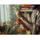 Fiskars Fiskars Classic Garden Scissors, Right Handed 21Cm 3