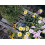 Fiskars Fiskars Classic Garden Scissors, Right Handed 21Cm 5