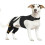 Back Leg Stabilizer For Ligament Injuries With Comfortable-XXL 8